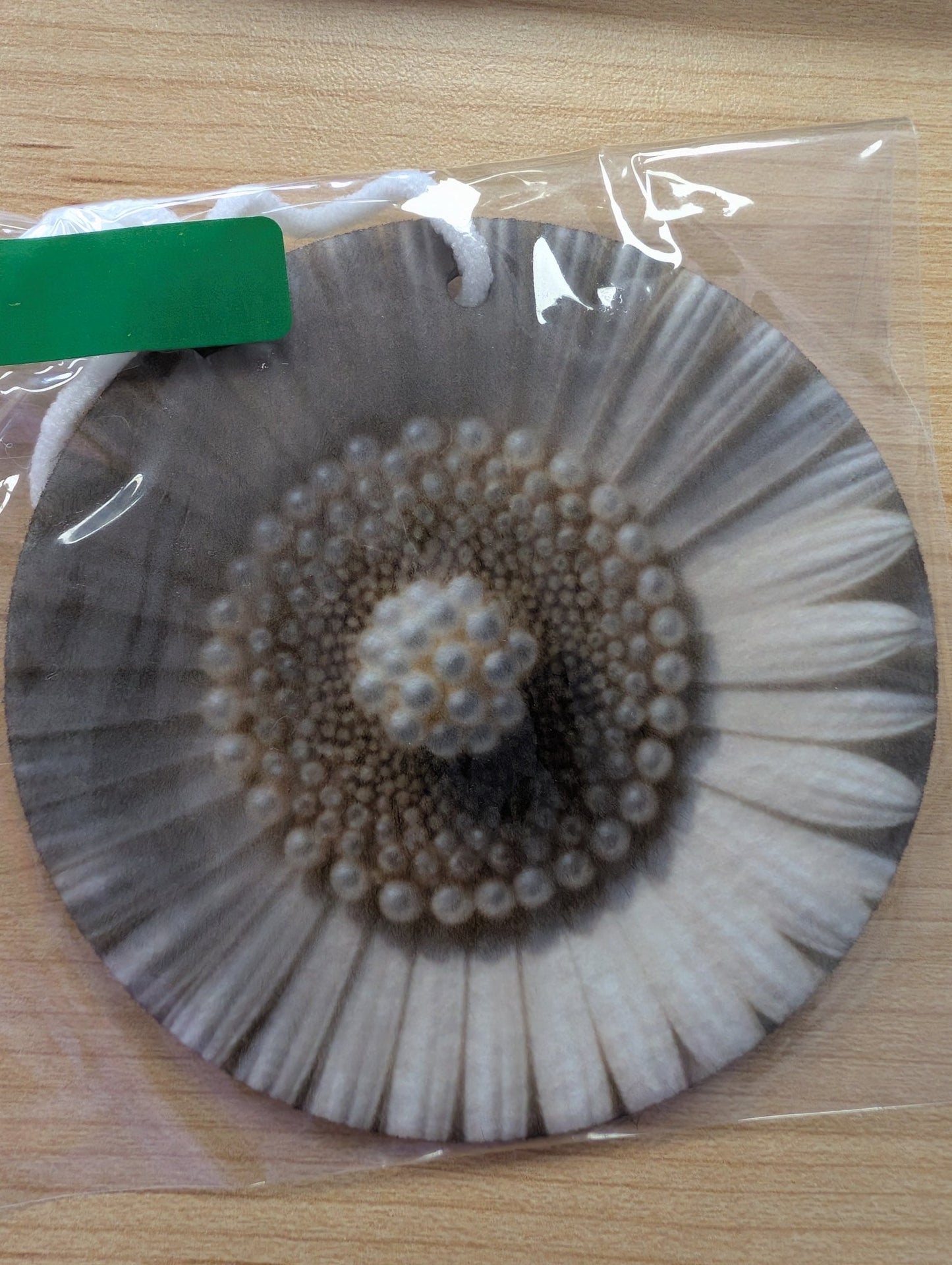 Watermelon Car Scents - Serenity Sparks