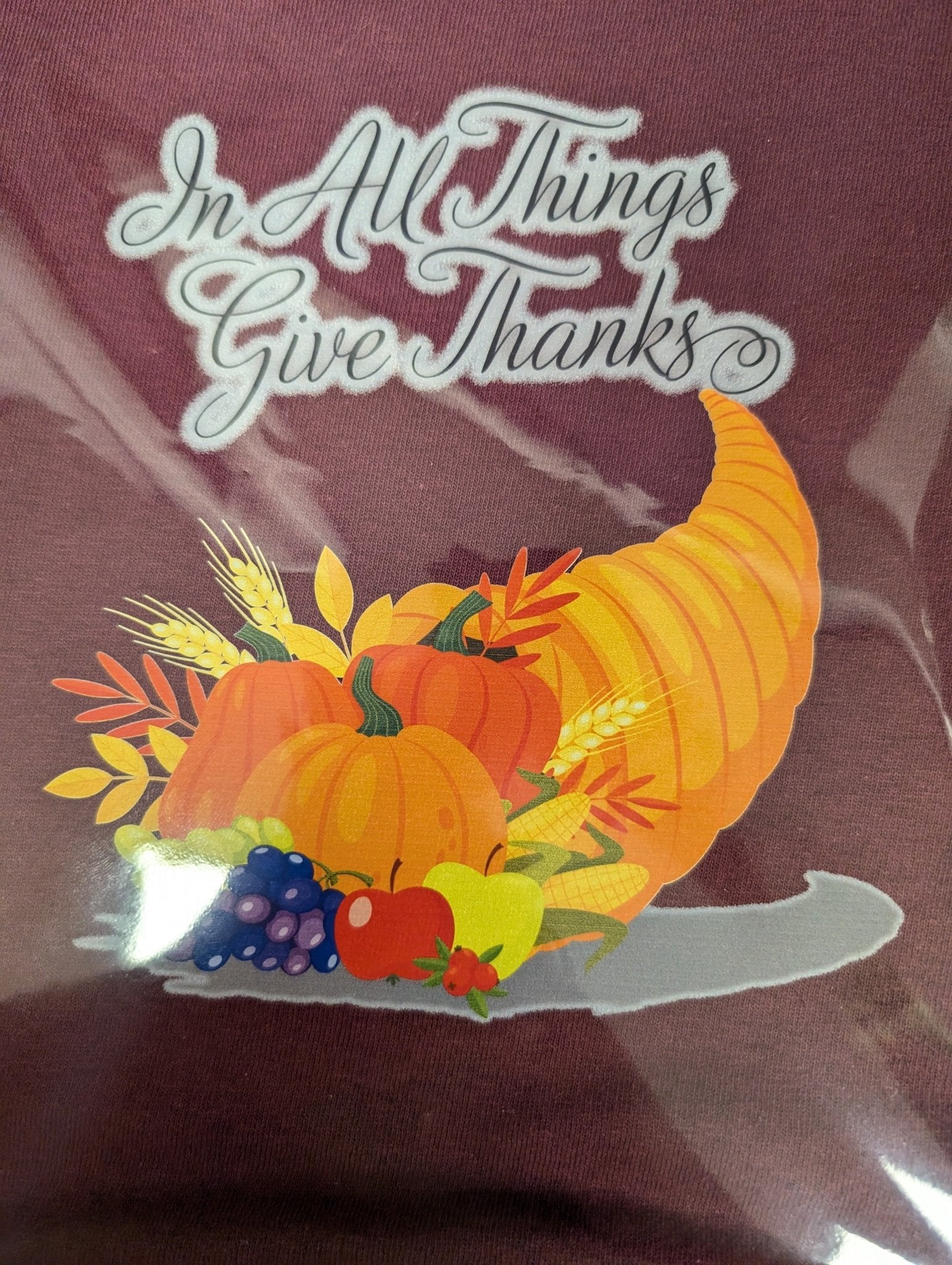 Thanksgiving T-shirts - Serenity Sparks